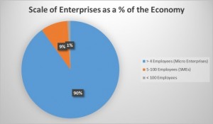 Egypt - Scale of Enterprises