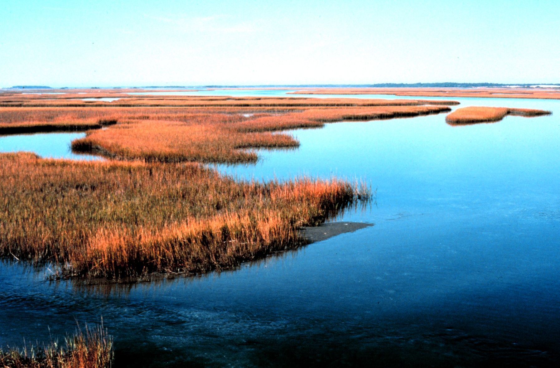 As Rio+20 Takes the International Stage, North Carolina Legislators Debate the Existence of Climate Change