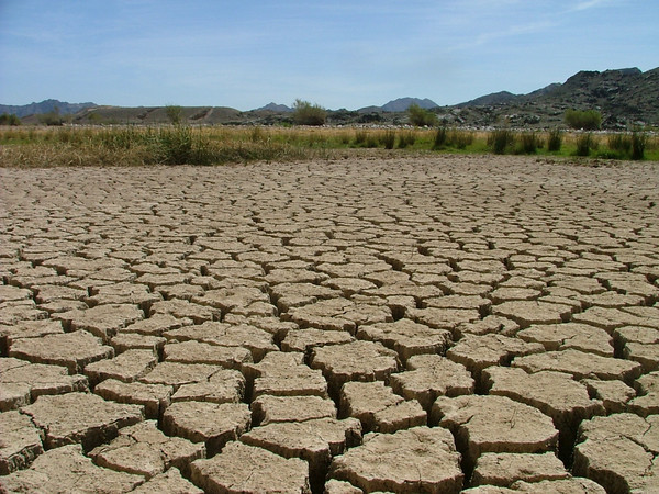 Global Climate Change Adaptation: Key to U.S. Security