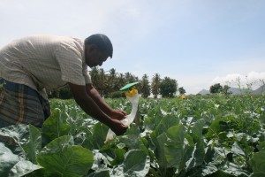 2012 00 00 IND Ag photo_0