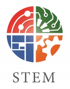 stem 2