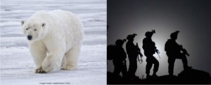 Group of Soldiers and Polar Bear