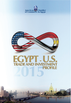 Round Table: Making the Most of U.S. and Foreign Investment in Egypt