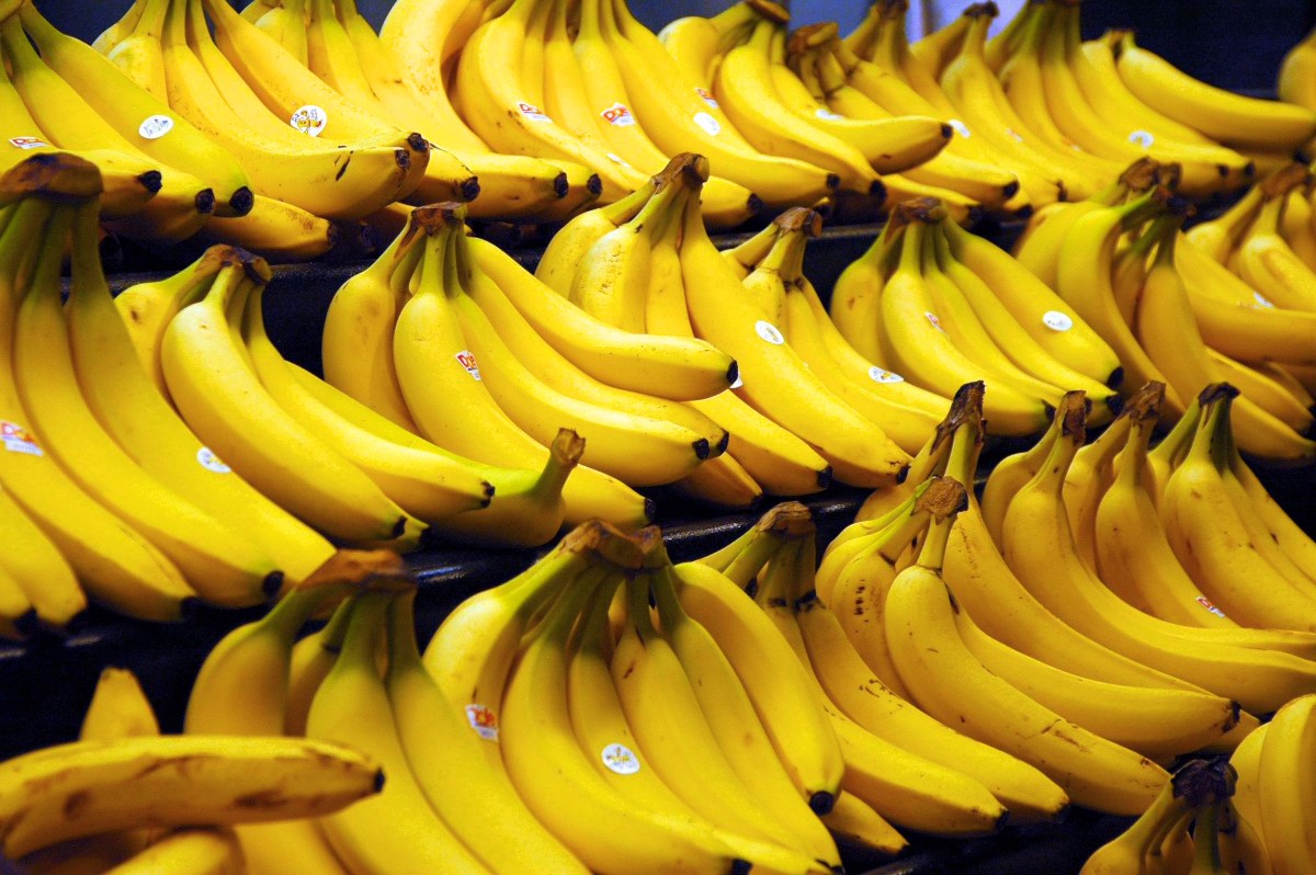 Brexit: The UK Has Gone Bent Bananas