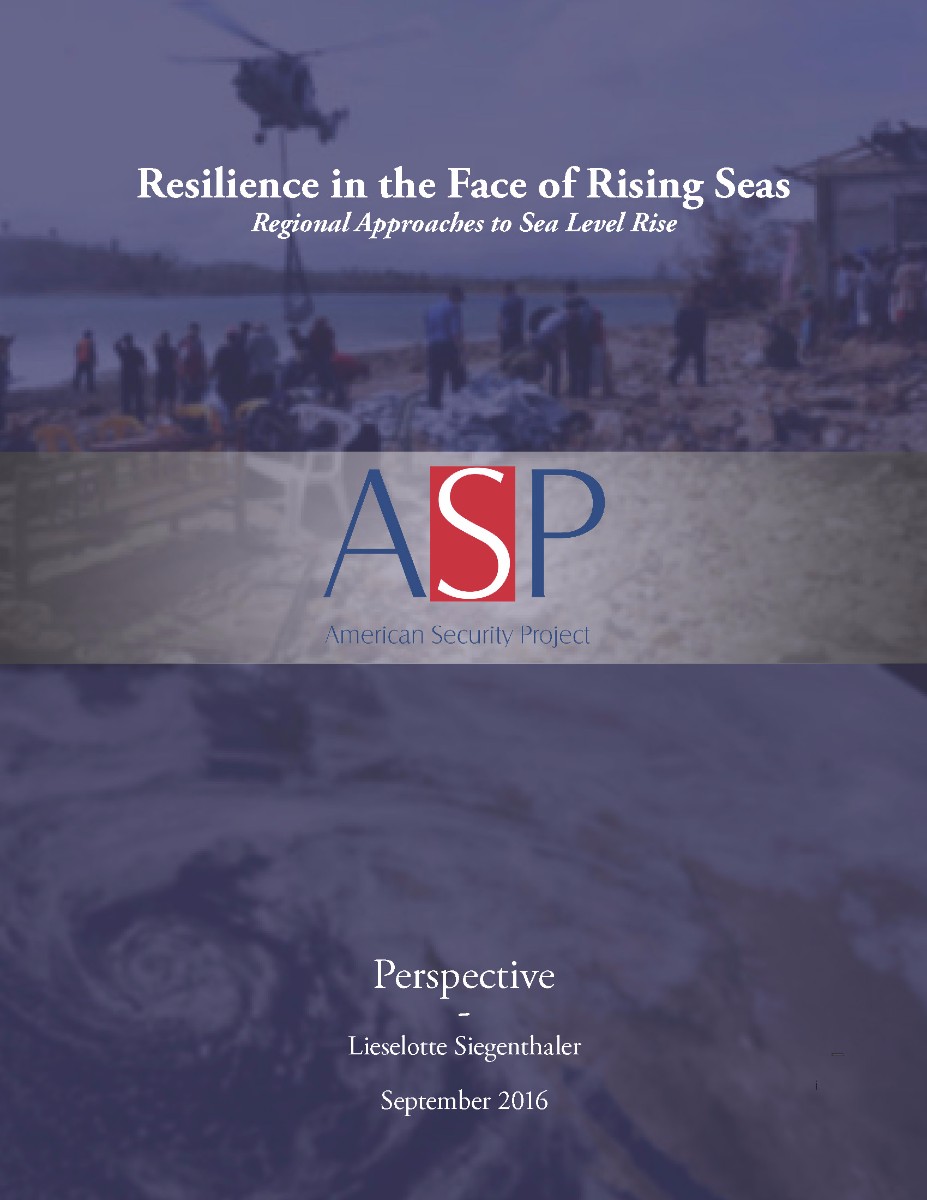 Resilience in the Face of Rising Seas