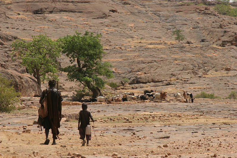 Climate Change & Ethnic Conflict in Africa Part I: Mali