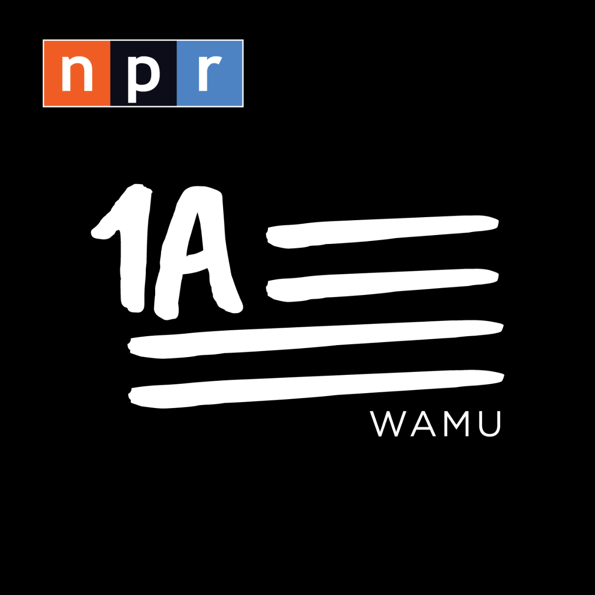 ASP CEO Brigadier General Stephen Cheney on NPR