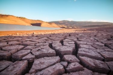 The Alarming Future of Global Water Resources