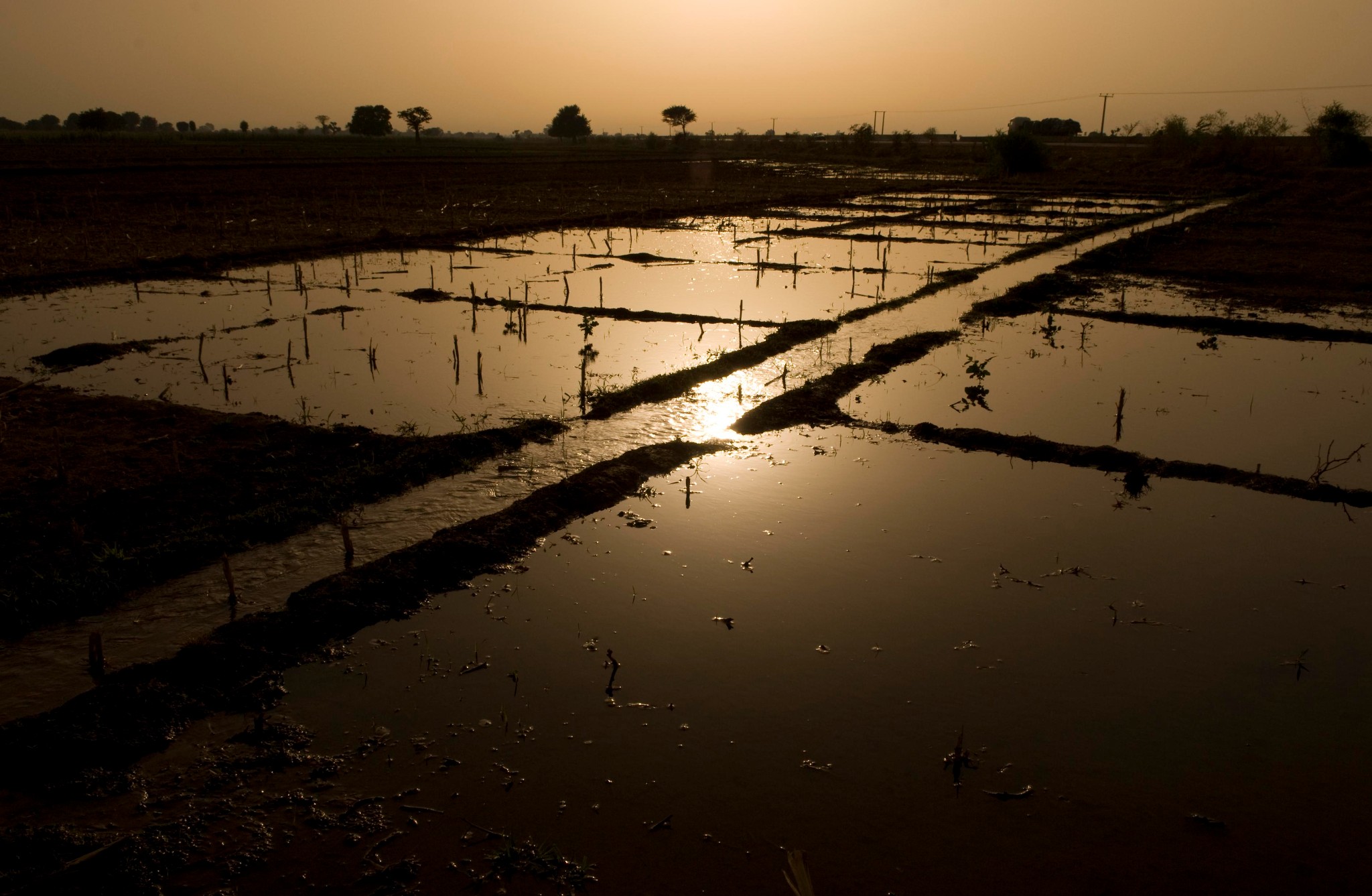 Nigeria, Climate Change, and the Future of Food