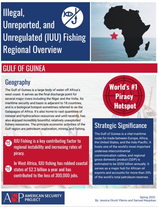 Briefing Note – Gulf of Guinea
